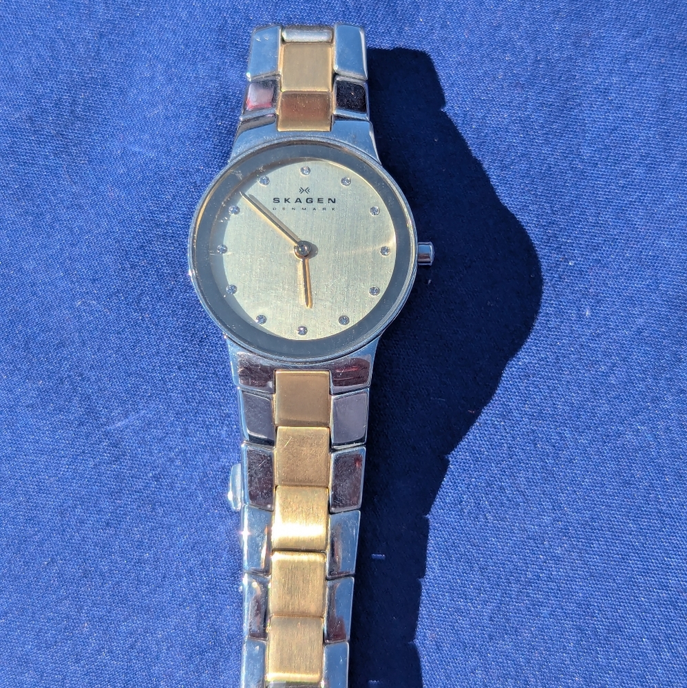 Skagen Two-Tone Silver and Gold Watch